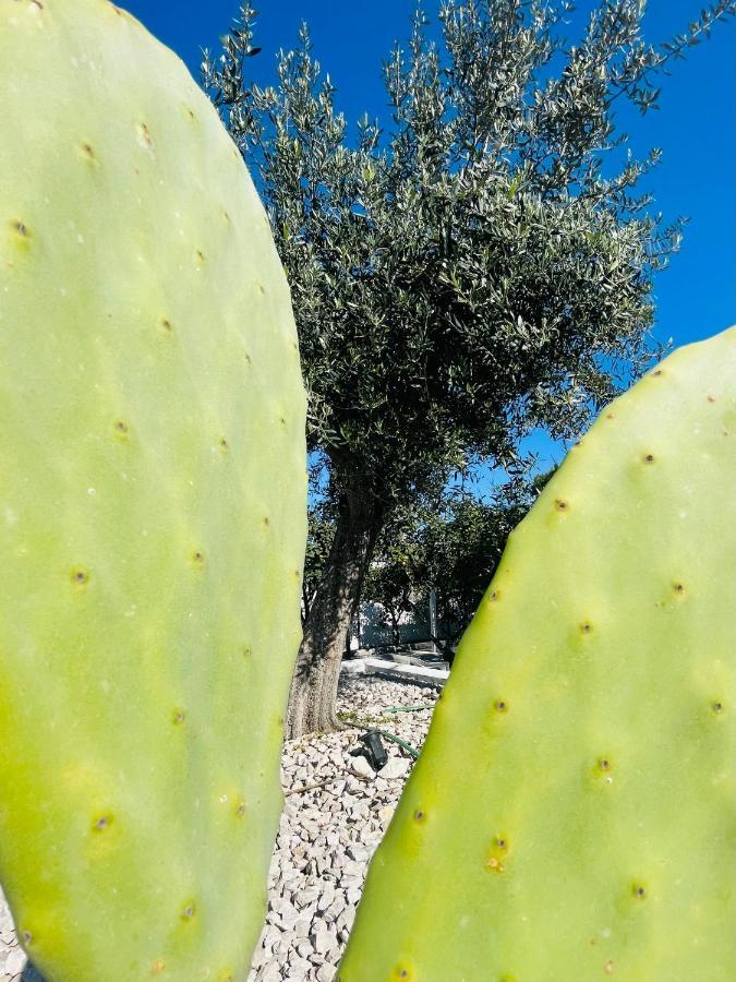 B&B Villa D'Amato Peschici Kültér fotó